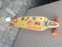 Skateboarding longboarding